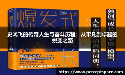 史鸿飞的传奇人生与奋斗历程：从平凡到卓越的蜕变之路