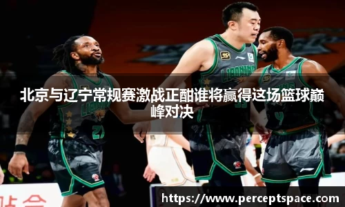北京与辽宁常规赛激战正酣谁将赢得这场篮球巅峰对决
