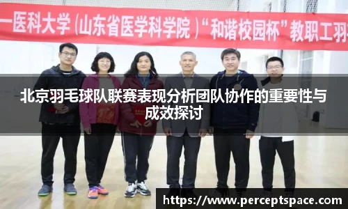 北京羽毛球队联赛表现分析团队协作的重要性与成效探讨