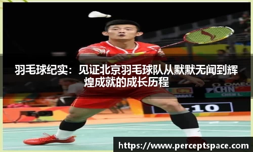 羽毛球纪实：见证北京羽毛球队从默默无闻到辉煌成就的成长历程