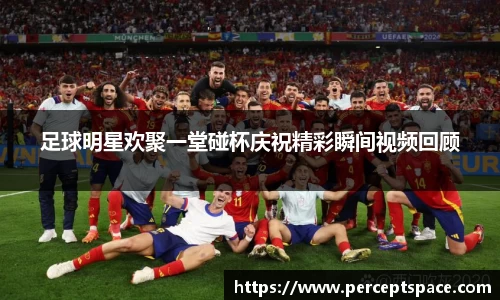 足球明星欢聚一堂碰杯庆祝精彩瞬间视频回顾