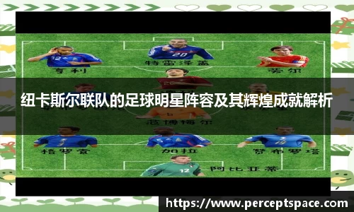 纽卡斯尔联队的足球明星阵容及其辉煌成就解析