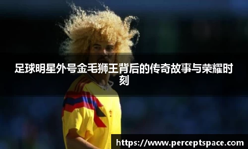 足球明星外号金毛狮王背后的传奇故事与荣耀时刻